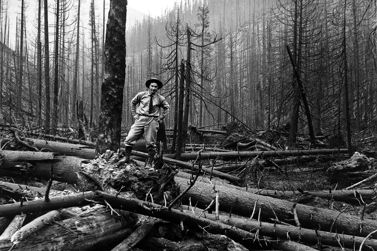 The Big Burn of 1910 and the Choking of America’s Forests