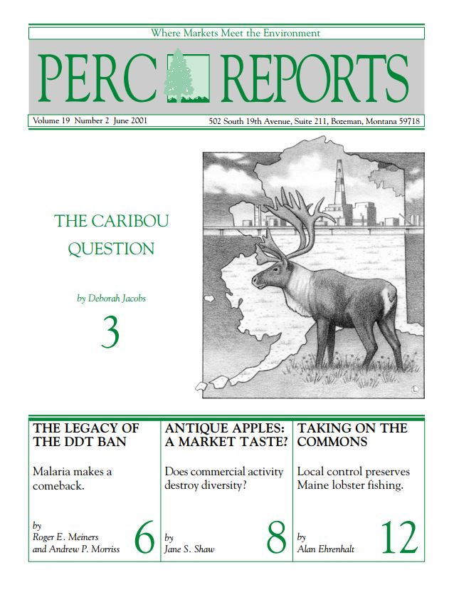 Cover Image - report-archive