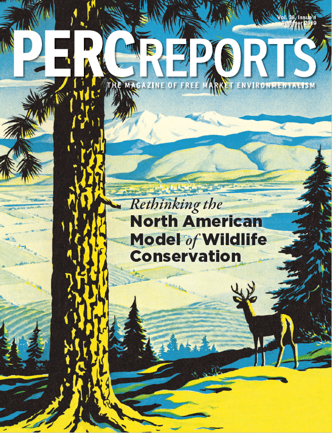 Cover Image - report-archive