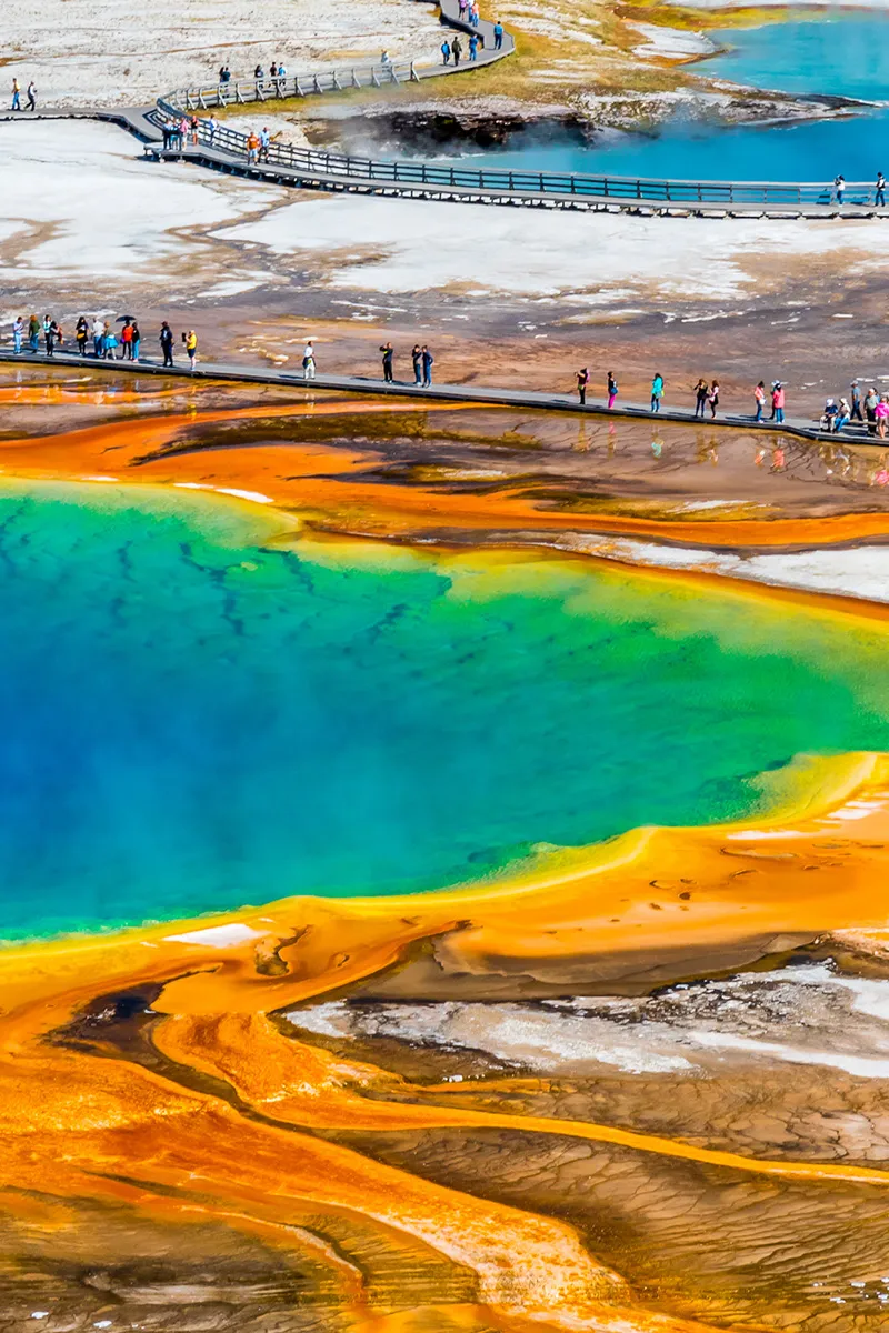 Yellowstone visitors