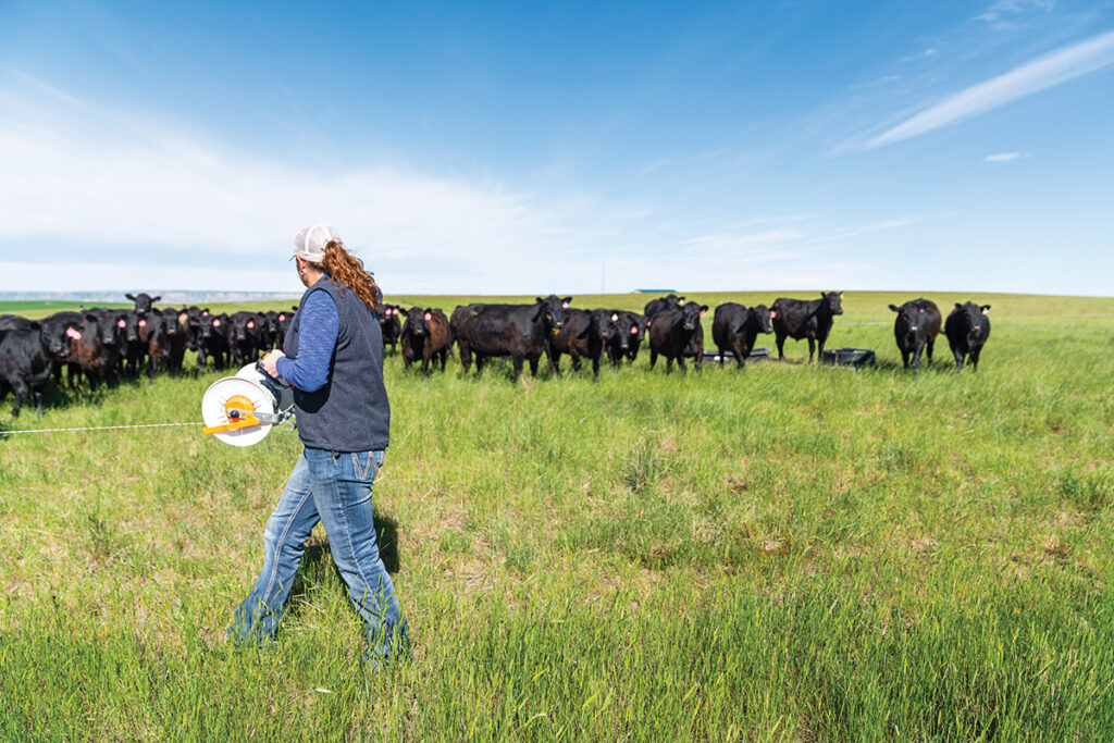 Rancher walking in pasture with cattle.
