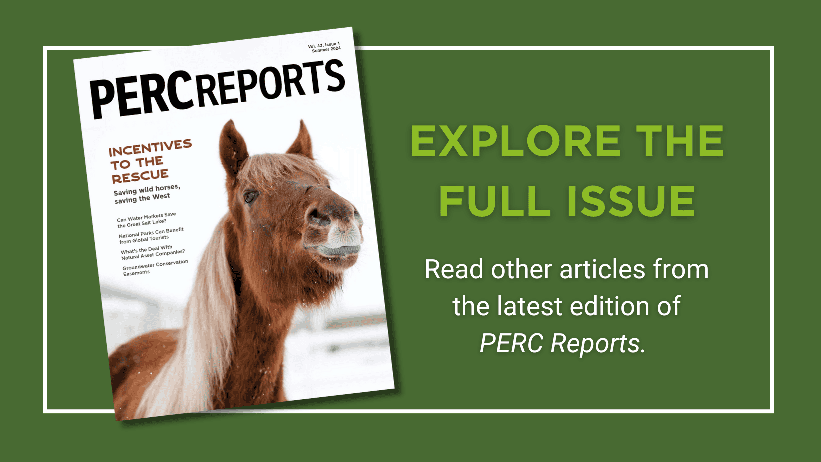 PERC Reports Summer 2024 | PERC
