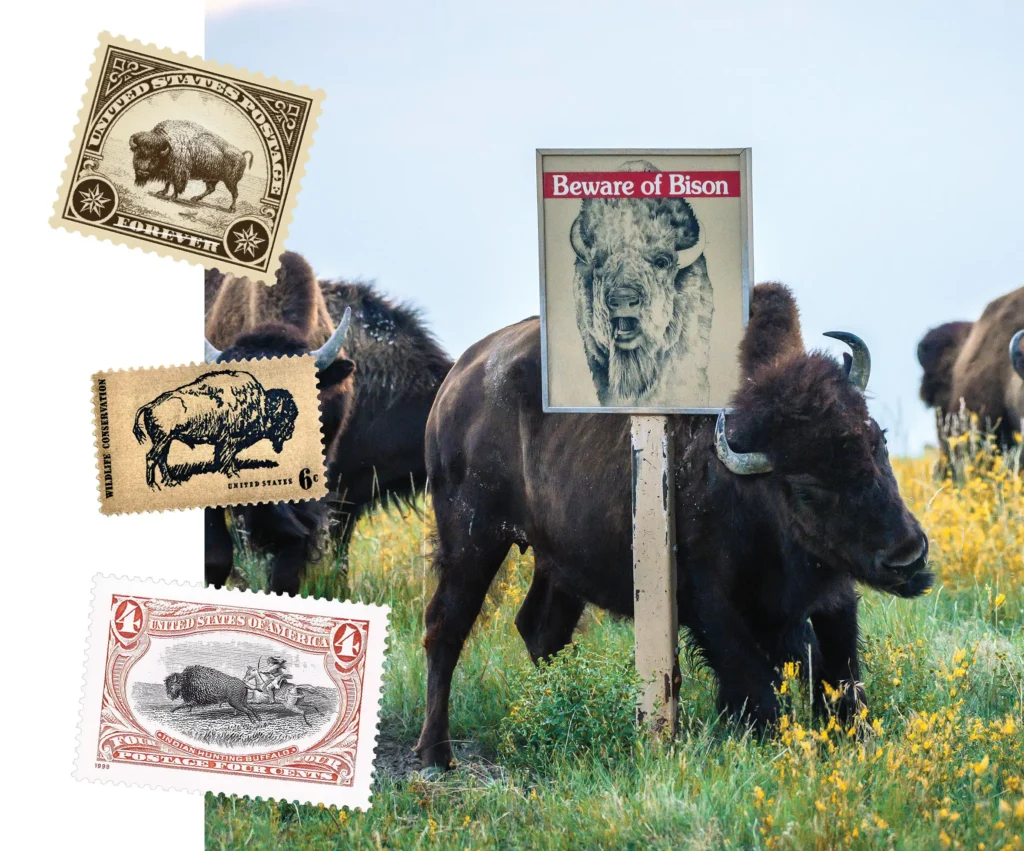 Vintage stamps depicting bison and a bison scratching on a post
