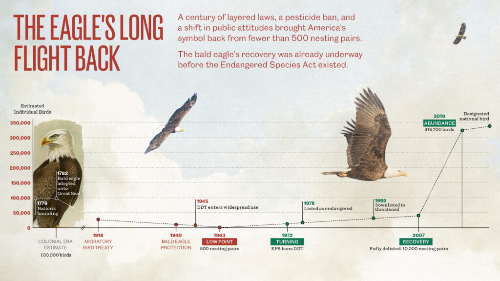 Graphic illustrating the Eagle's long flight back