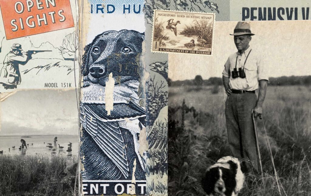 A collage featuring bird hunting-themed elements, including a vintage hunter with binoculars, a dog, a duck stamp, landscape photos, and retro graphics.