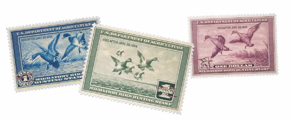 Three vintage U.S. Migratory Bird Hunting stamps feature scenes of ducks in flight, each in different colors: blue, green, and purple. The stamps convey a historical and nostalgic tone.