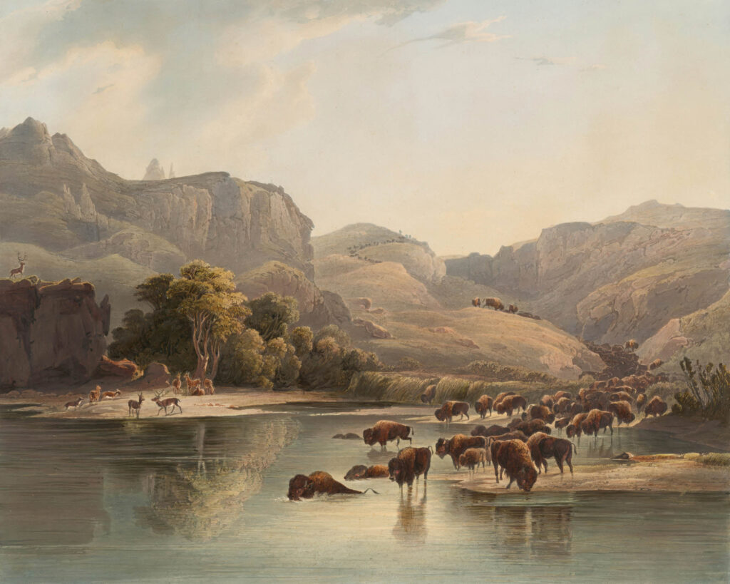 A vintage watercolor landscape painting of bison wading and drinking in a river winding through a mountain valley, with deer and pronghorn gathered on the opposite bank and rocky cliffs rising under a soft, hazy sky.