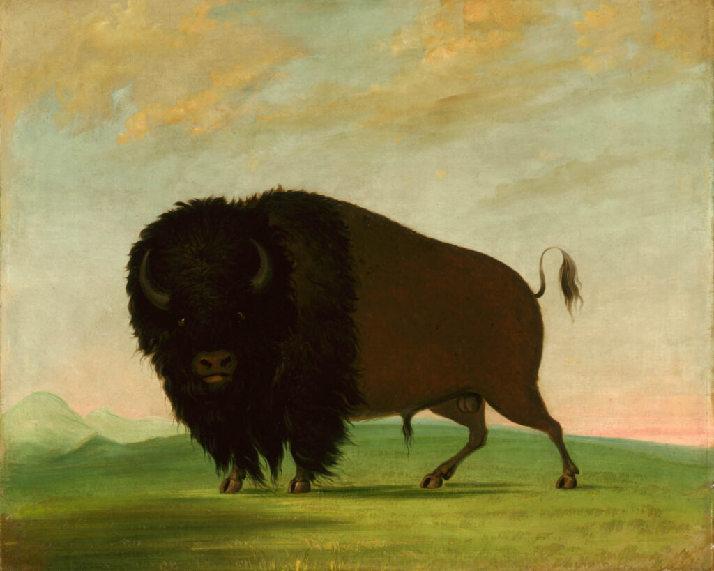A vintage oil painting of a lone bison standing on a green plain, its tail raised, with faint mountains on the horizon and a soft, cloud-streaked sky.