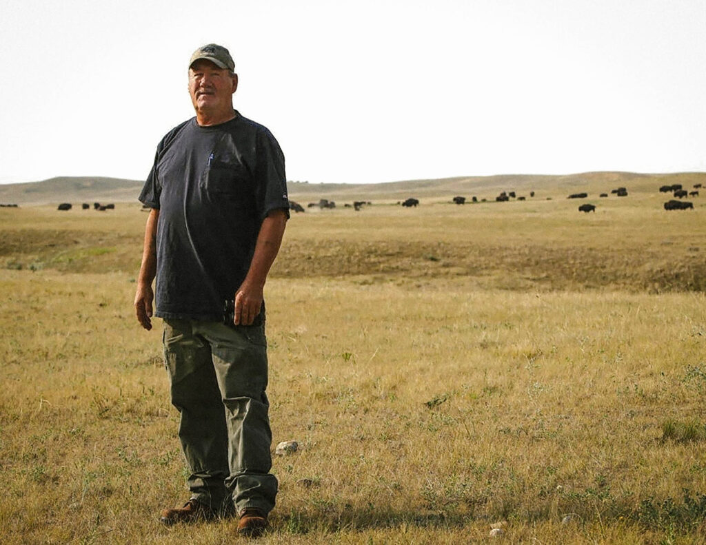 A man in a cap and dark T-shirt stands in a golden grassland with a herd of bison grazing across the rolling hills in the background.